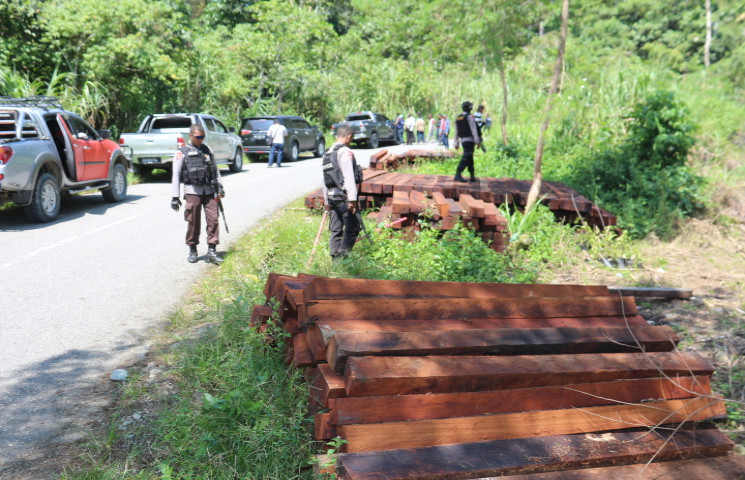 Dishut Hitung Kerugian Negara Akibat Ilegal Logging
